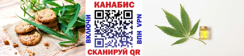 omg вход  магазин  наркотиков  Тосно  Cannafood конопля 