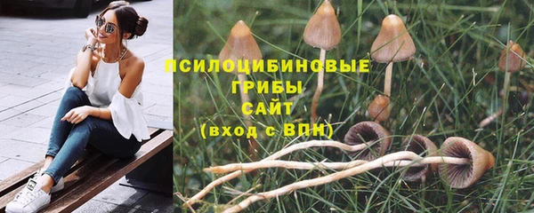 спиды Корсаков