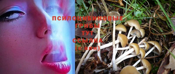 а пвп мука Коряжма