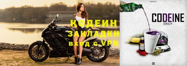 спиды Корсаков