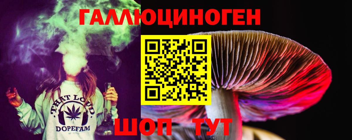 Тосно  Галлюциногенные грибы Psilocybine cubensis  Вход с VPN 